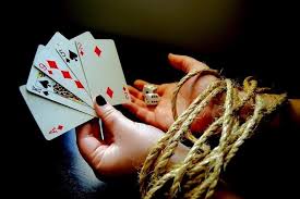 Как войти на сайт Pelican Casino